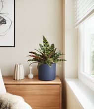 Load image into Gallery viewer, Deep Navy