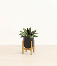 Load image into Gallery viewer, Stone Black stand:bamboo