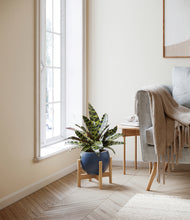 Load image into Gallery viewer, Deep Navy stand:bamboo