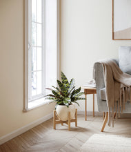 Load image into Gallery viewer, Shiny EggWhite stand:bamboo