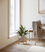 Load image into Gallery viewer, Winter Clouds stand:bamboo