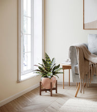 Load image into Gallery viewer, Calm Rose stand:walnut