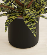 Load image into Gallery viewer, Black stand:all