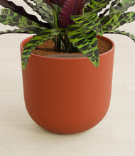 Load image into Gallery viewer, Earth Red stand:all