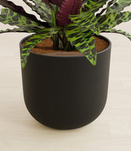 Load image into Gallery viewer, Stone Black stand:all