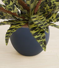 Load image into Gallery viewer, Deep Navy stand:all