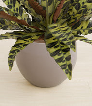 Load image into Gallery viewer, Winter Clouds stand:all