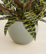 Load image into Gallery viewer, Deep Ocean stand:all