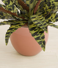 Load image into Gallery viewer, Calm Rose stand:all