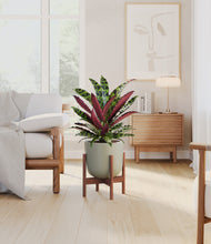 Load image into Gallery viewer, Sage Green stand:walnut