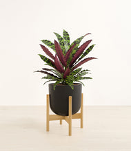Load image into Gallery viewer, Stone Black stand:bamboo