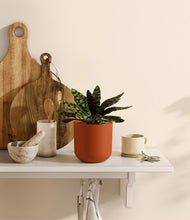 Load image into Gallery viewer, Earth Red