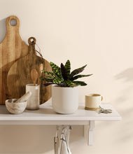 Load image into Gallery viewer, Natural Bamboo