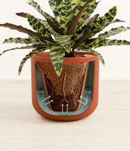 Load image into Gallery viewer, Earth Red