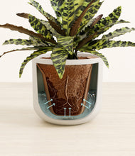 Load image into Gallery viewer, Natural Bamboo