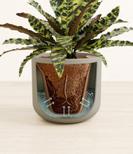 Load image into Gallery viewer, Sage Green