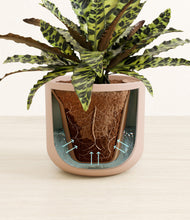 Load image into Gallery viewer, Sandy Pink