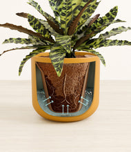 Load image into Gallery viewer, Sunset Orange