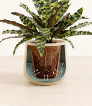 Load image into Gallery viewer, Olive stand:all