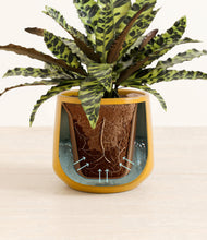 Load image into Gallery viewer, Calm Rose stand:all