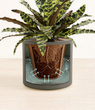 Load image into Gallery viewer, Black stand:all