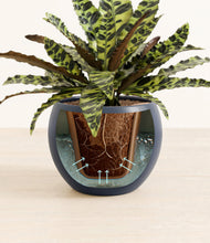 Load image into Gallery viewer, Deep Navy stand:all