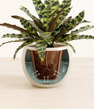 Load image into Gallery viewer, Shiny EggWhite stand:all