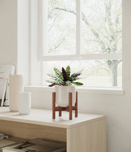 Load image into Gallery viewer, Snowdrift White stand:walnut