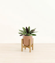 Load image into Gallery viewer, Hammered Peach Pink stand:bamboo
