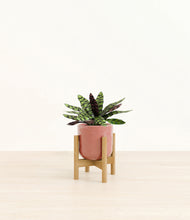 Load image into Gallery viewer, Hammered Rose Pink stand:bamboo