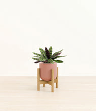 Load image into Gallery viewer, Striped Rose Pink stand:bamboo
