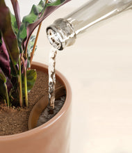 Load image into Gallery viewer, Hammered Peach Pink stand:all