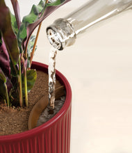 Load image into Gallery viewer, Striped Cherry Red stand:all