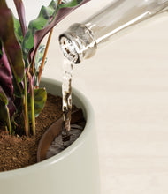 Load image into Gallery viewer, Turquoise stand:all