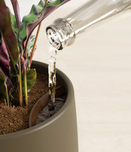 Load image into Gallery viewer, Olive stand:all