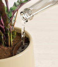 Load image into Gallery viewer, Almond Green stand:all