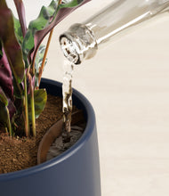 Load image into Gallery viewer, Deep Navy stand:all