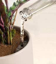 Load image into Gallery viewer, Eternal Gray stand:all