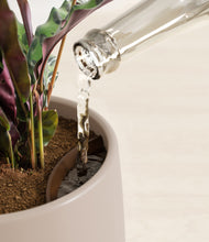 Load image into Gallery viewer, Eternal Gray stand:all