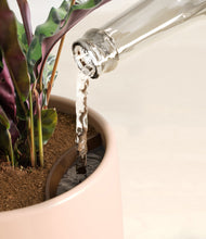 Load image into Gallery viewer, Gentle Pink stand:all