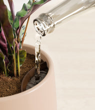 Load image into Gallery viewer, Gentle Pink stand:all