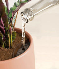 Load image into Gallery viewer, Calm Rose stand:all