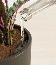 Load image into Gallery viewer, Dark Olive stand:all