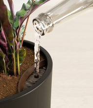 Load image into Gallery viewer, Black stand:all