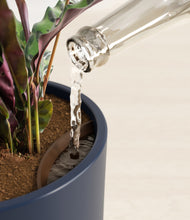 Load image into Gallery viewer, Deep Navy stand:all