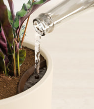 Load image into Gallery viewer, Cream stand:all