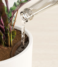 Load image into Gallery viewer, White stand:all