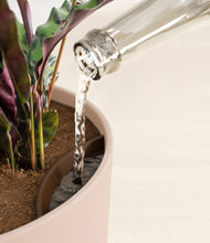 Load image into Gallery viewer, Sandy Pink stand:all