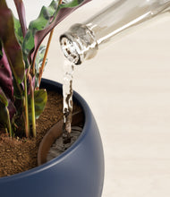 Load image into Gallery viewer, Deep Navy stand:all