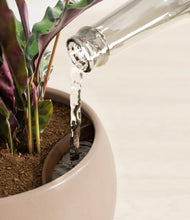 Load image into Gallery viewer, Desert Brown stand:all